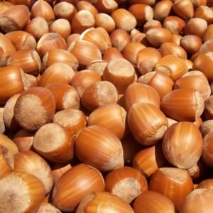 Hazel nuts