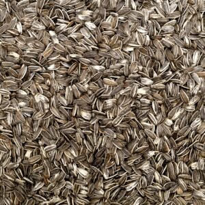 Sunflower Seeds