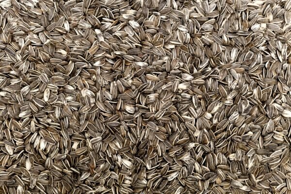 Sunflower Seeds