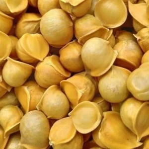 Kashmiri Garlic