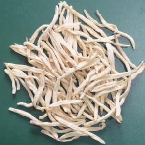 Safed Musli